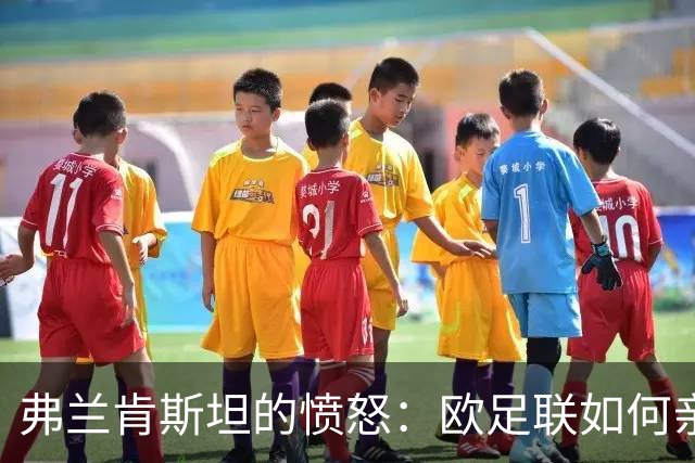 弗兰肯斯坦的愤怒：欧足联如何亲手造出了自己的终结者？